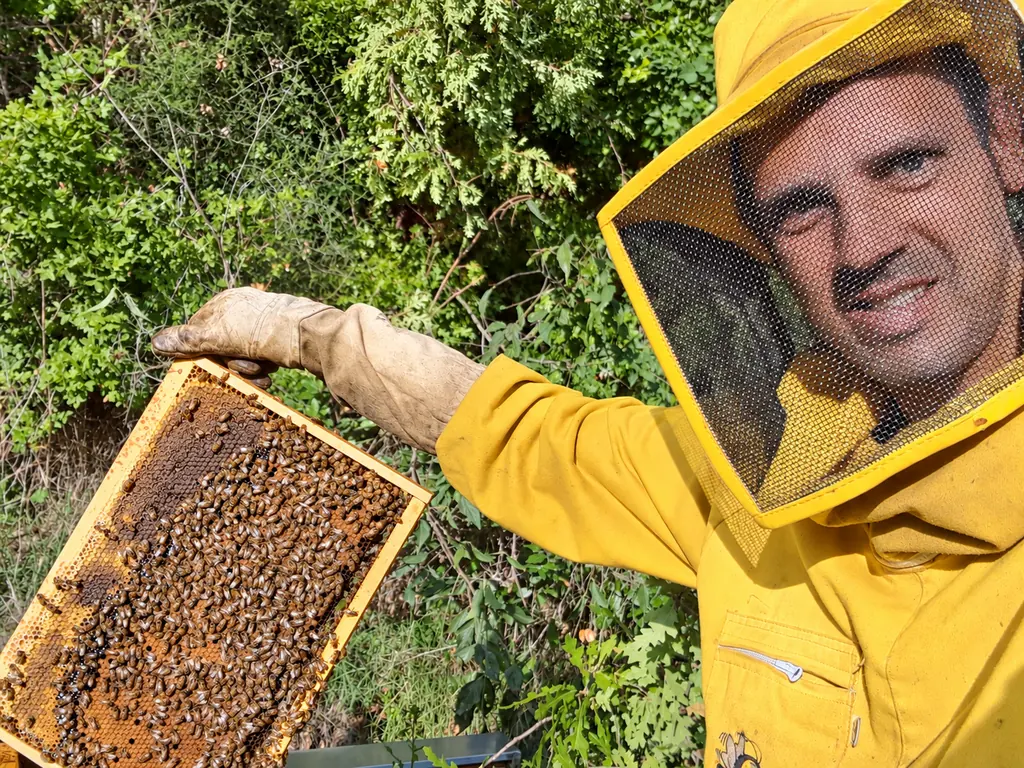 Un apicoltore dell'azienda mostra un telaio pieno di api, fra la macchia